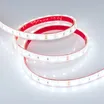 Светодиодная лента герметичная RTW-PFS-B60-13mm 24V Cool 10K (14.4 W/m, IP68, 5060, 5m) (Arlight, 14.4 Вт/м, IP68)