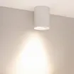 Светильник SP-FOCUS-R110-18W Day4000 (WH, 50 deg, 230V) (Arlight, IP54 Металл, 5 лет)