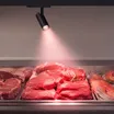 Светильник LGD-GERA-4TR-R74-20W Warm SP2900-Meat (Белый, 36 deg, 230V) (Arlight, IP20 Металл, 5 лет)