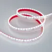 Светодиодная лента RSW 2-5000P 24V Cool 10K 2x (3014, 120 LED/m, LUX) (Arlight, 9.6 Вт/м, IP66)