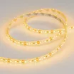 Светодиодная лента RTW 2-5000SE 12V Yellow 2x (3528, 600 LED, LUX) (Arlight, 9.6 Вт/м, IP65)