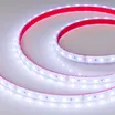 Светодиодная лента герметичная RTW-PS-B60-12mm 24V RGB (14.4 W/m, IP67, 5060, 5m) (Arlight, 14.4 Вт/м, IP67)