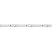 Светодиодная лента RS 2-5000 12V Day4000 (3014, 60 LED/m, LUX) (Arlight, 4.8 Вт/м, IP20)