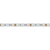 Светодиодная лента RT 2-5000 12V Blue 2x (5060, 300 LED, LUX) (Arlight, 14.4 Вт/м, IP20)