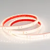 Светодиодная лента RTW 2-5000PGS 24V Warm 2x (3528, 600 LED, LUX) (Arlight, 9.6 Вт/м, IP67)
