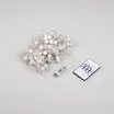 Светодиодная гирлянда ARD-BEAD-HOME-10000-CLEAR-100LED RGB (5V, USB, ПДУ) (Ardecoled, IP20 Пластик)