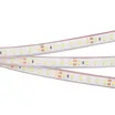 Светодиодная лента RTW 2-5000PGS 24V Cool 2x (3528, 600 LED, LUX) (Arlight, 9.6 Вт/м, IP67)