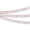 Светодиодная лента герметичная RTW-PFS-B60-13mm 12V Yellow (14.4 W/m, IP68, 5060, 5m) (Arlight, 14.4 Вт/м, IP68)