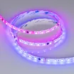 Светодиодная лента герметичная SPI-SE-B60-10mm 24V RGB-PX6-BPT (12 W/m, IP65, 5060, 5m) (Arlight, бегущий огонь)