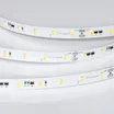 Светодиодная лента IC-A60-10mm 24V Day4000 (4.8 W/m, IP20, 2835, 20m) (Arlight, 4.8 Вт/м, IP20)