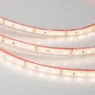 Светодиодная лента RTW 2-5000PGS 12V Warm (3528, 300 LED, LUX) (Arlight, 4.8 Вт/м, IP67)