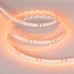Светодиодная лента RT 2-5000 24V Orange 2x (3528, 600 LED, LUX) (Arlight, 9.6 Вт/м, IP20)