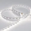 Светодиодная лента RT 2-5000 24V Day4000 (3528, 300 LED, LUX) (Arlight, 4.8 Вт/м, IP20)