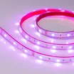 Светодиодная лента герметичная RTW-PS-B30-13mm 12V RGB (7.2 W/m, IP67, 5060, 5m) (Arlight, -)