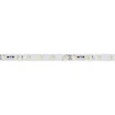 Светодиодная лента RT-20000 24V Day4000 (3528, 60 LED/m, 20m) (Arlight, 4.8 Вт/м, IP20)