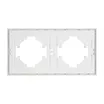 Рамка пластиковая FRM-TENDO-SFPL-2-WH (Arlight, Матовый белый)