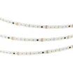 Светодиодная лента DMX-A140-12mm 24V Day-MIX-PX14 (14 W/m, IP20, 5m) (Arlight, Изменяемая ЦТ)