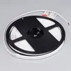 Светодиодная лента герметичная MOONLIGHT-SIDE-A168-4x10mm 24V White6000 (7.2 W/m, IP65, 5m, wire x2) (Arlight, Вывод прямой, 3 года)