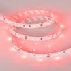 Светодиодная лента RT 2-5000 12V Red (5060, 150 LED, LUX) (Arlight, 7.2 Вт/м, IP20)