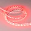 Светодиодная лента RT-B60-10mm 24V Red (14.4 W/m, IP20, 5060, 5m) (Arlight, Открытый)