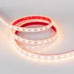 Светодиодная лента RTW 2-5000P 12V Warm2700 2x (5060, 300 LED, LUX) (Arlight, 14.4 Вт/м, IP66)
