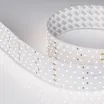 Светодиодная лента RT 2-2500 24V Day4000 5x2 (2835, 875 LED, CRI98) (Arlight, 36 Вт/м, IP20)