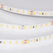 Светодиодная лента UL-A120-8mm 24V Warm2700 (2 W/m, IP20, 5m) (Arlight, Открытый)