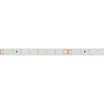 Светодиодная лента RTW 2-5000PS-50m 24V White6000 (2835, 80 LED/m, LUX) (Arlight, 6 Вт/м, IP67)