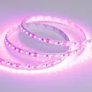 Светодиодная лента RT 2-5000 12V Pink 2X (3528, 600 LED, LUX) (Arlight, 9.6 Вт/м, IP20)