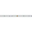 Светодиодная лента RT 2-5000 12V Green (5060, 150 LED, LUX) (Arlight, 7.2 Вт/м, IP20)