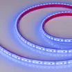 Светодиодная лента RTW 2-5000PGS 12V Blue 2x (3528, 600 LED) (Arlight, 9.6 Вт/м, IP67)