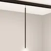 Светильник MAG-ORIENT-SPOT-HANG-L600-R12-2W Warm3000 (BK, 20 deg, 48V) (Arlight, IP20 Металл, 5 лет)