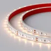 Светодиодная лента RTW 2-5000PGS 12V Warm (3528, 300 LED, LUX) (Arlight, 4.8 Вт/м, IP67)