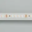 Светодиодная лента RT 2-5000 24V White6000 2x (3528, 600 LED, LUX) (Arlight, 9.6 Вт/м, IP20)