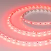 Светодиодная лента RT-B60-10mm 24V Red (14.4 W/m, IP20, 5060, 5m) (Arlight, Открытый)