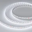 Светодиодная лента RT-GM288-12mm 24V RGBW-MIX (19.2 W/m, IP20, 3838/2216, 5m) (Arlight, Открытый)