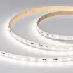 Светодиодная лента IC-A60-10mm 24V Day4000 (4.8 W/m, IP20, 2835, 20m) (Arlight, 4.8 Вт/м, IP20)