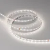 Светодиодная лента RT-A80-8mm 24V Day5000 (6 W/m, IP20, 2835, 50m) (Arlight, 6 Вт/м, IP20)