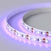 Светодиодная лента RT 2-5000 12V UV400 2X (3528, 600 LED, W) (Arlight, 9.6 Вт/м, IP20)