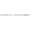 Светодиодная лента RT-A90-10mm 24V White6000 (4.8 W/m, IP20, 2835, 5m) (Arlight, высок.эфф.200 лм/Вт)