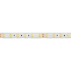 Светодиодная лента RTW 2-5000PW 24V Warm2700 2x (5060, 300 LED, LUX) (Arlight, 14.4 Вт/м, IP66)