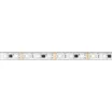 Светодиодная лента герметичная DMX-PFS-B60-12mm 12V RGB-PX3 (14 W/m, IP68, 5060, 5m) (Arlight, -)