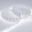 Светодиодная лента RT 2-5000 24V White6000 (3528, 300 LED, LUX) (Arlight, 4.8 Вт/м, IP20)