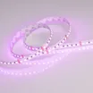 Светодиодная лента RT 2-5000 24V RGB 10mm (4040, 120 LED/m, LUX) (Arlight, 13.2 Вт/м, IP20)