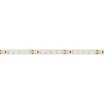 Светодиодная лента RT 2-5000 24V White6000 2x (3528, 600 LED, LUX) (Arlight, 9.6 Вт/м, IP20)