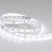 Светодиодная лента RTW 2-5000NC 24V White6000 2x (5060, 300 LED, LUX) (Arlight, 14.4 Вт/м, IP65)