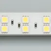 Светодиодная лента RT 2-5000 24V Day4000 2x2 (5060, 600 LED, LUX) (Arlight, 28.8 Вт/м, IP20)