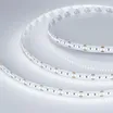 Светодиодная лента MICROLED-5000 24V White6000 8mm (2216, 300 LED/m, LUX) (Arlight, 8 Вт/м, IP20)