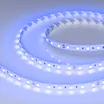 Светодиодная лента RT-B60-10mm 24V Blue (14.4 W/m, IP20, 5m) (Arlight, Открытый)