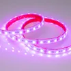 Светодиодная лента RTW 2-5000PS 12V RGB 2x (5060, 300 LED, LUX) (Arlight, 14.4 Вт/м, IP67)